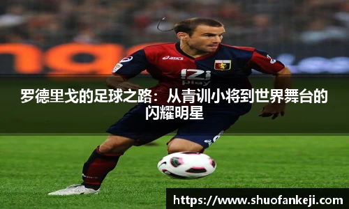 leyu乐鱼官方入口